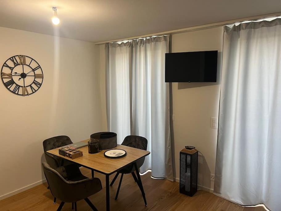 Charmant Studio Cenevre Dış mekan fotoğraf